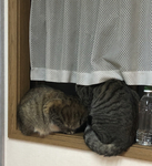 936B024B-6C7E-4EFF-8173-F19A3EDB5DA5.jpg