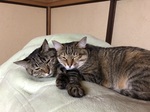 IMG_6380.jpeg