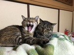 IMG_8024.jpeg