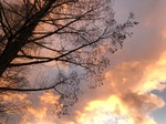 IMG_8044.jpeg